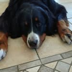 Walter Altmann - @altmann.walter - Instagram