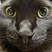 Walter Alva - Facebook