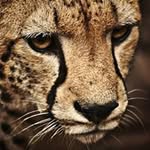 Walter Alzate Franco - @alzatefrancow - Instagram