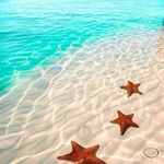 Amato Walter Merola - @amatowaltermerola - Instagram