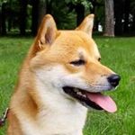 Walter Amato - @amato.walter - Instagram