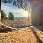 Walter Anacker - @walter_anacker - Instagram