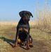 Walter Anker - Facebook