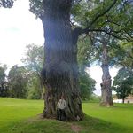 Walter Andersson - @walter_andersson1 - Instagram