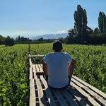 Walter Angel Bertorello - @walterangelbertorello - Instagram