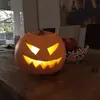 walterangerer2 - @walterangerer2 - TikTok