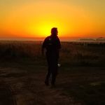 Walter Antonelli - @walterantonellivet - Instagram
