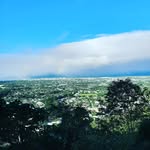 Archie  Walter - @archiewalter9 - Instagram