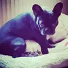 WalterArchie - @walterarchie - TikTok