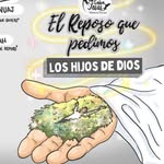 Walter Arevalo - @wlarevalo6 - Instagram