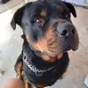 Walter Arevalo - @walterarevalo42 - TikTok