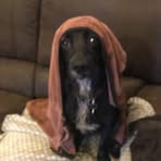 Wally Armitage - Facebook