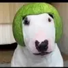 user7812104669151 - @walter......army - TikTok