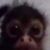 user9482315406400 - @walterarmy00 - TikTok