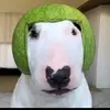 Walter army - @walterarmy4 - TikTok