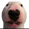 Walter army - @soldat.walter.army - TikTok