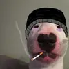 Walter - @walterarmywins - TikTok