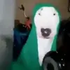pennuts - @walteraaron2 - TikTok