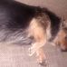 Walter Artz - Facebook