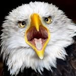 Walter Bauer - @bauer.walter - Instagram