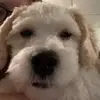 Delilah - @babby_walter202 - TikTok