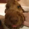 user4314479874307 - @walter.babby - TikTok