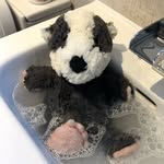 Walter Badger - @walt20192019 - Instagram