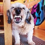 Walter Baierl - @walterbaierl - Instagram