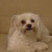 Walter Bain - Facebook