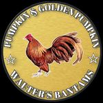 𝐖𝐚𝐥𝐭𝐞𝐫'𝐬 𝐁𝐚𝐧𝐭𝐚𝐦'𝐬🐓 - @waltersbantams - Instagram