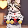 Walter Baran - @walterbaran3 - TikTok