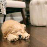 Walter Barrett - @walter.the.doodle716 - Instagram