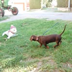 Walter Barta - Facebook