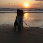 Walter Barthel - @walter.barthel - Instagram