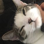 Walter Bartholomeow Johnson - @walterbartholomeow - Instagram