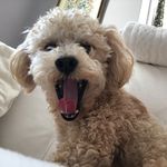 Gilligan Walter Barton - @gilligan.barton - Instagram