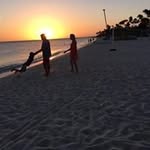 Walter Bauman - @walterbauman - Instagram