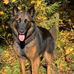 Walter Baumgartner - Facebook