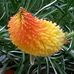 Walter Baumgartner - Facebook