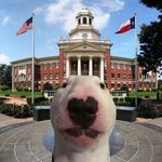 Baylor Walter - @baylor_walter - Instagram