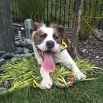 🐾 walter beans 🐾 - @walterbeanss - Instagram
