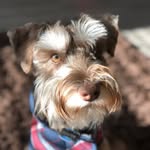 •WALTER• - @walter_bean - Instagram