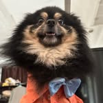 @walte.rbean - Instagram