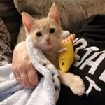 Walter Bean - @walter.bean.wobbles - Instagram