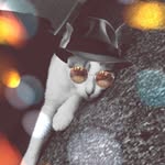 Walter Bean - @thewaltman__ - Instagram