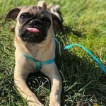Walter Bean - @walterbean_and_cuisine - Instagram
