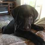Walter Bean - @_.walter_bean._ - Instagram
