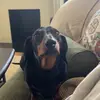 Walter Bean - @tlmo2222 - TikTok