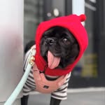Walter Bean - @the.daily.walt - Instagram
