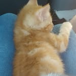 walter bean - @i.am.walter.bean - Instagram